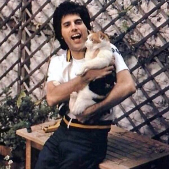 FREDDIE MERCURY Accessories - SOLD. FREDDIE MERCURY 8X10 Framed Photo Vintage CAT!